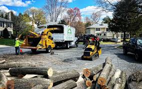 Best Weed Control  in Elim, PA
